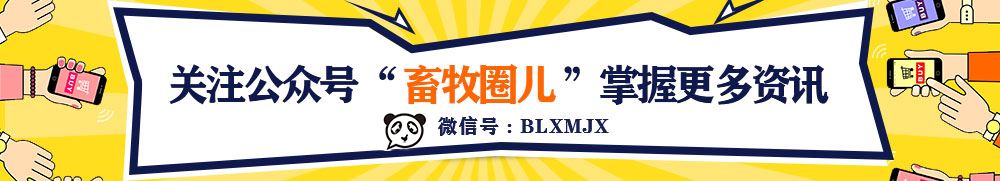 1597482886127424.jpg 引流.jpg